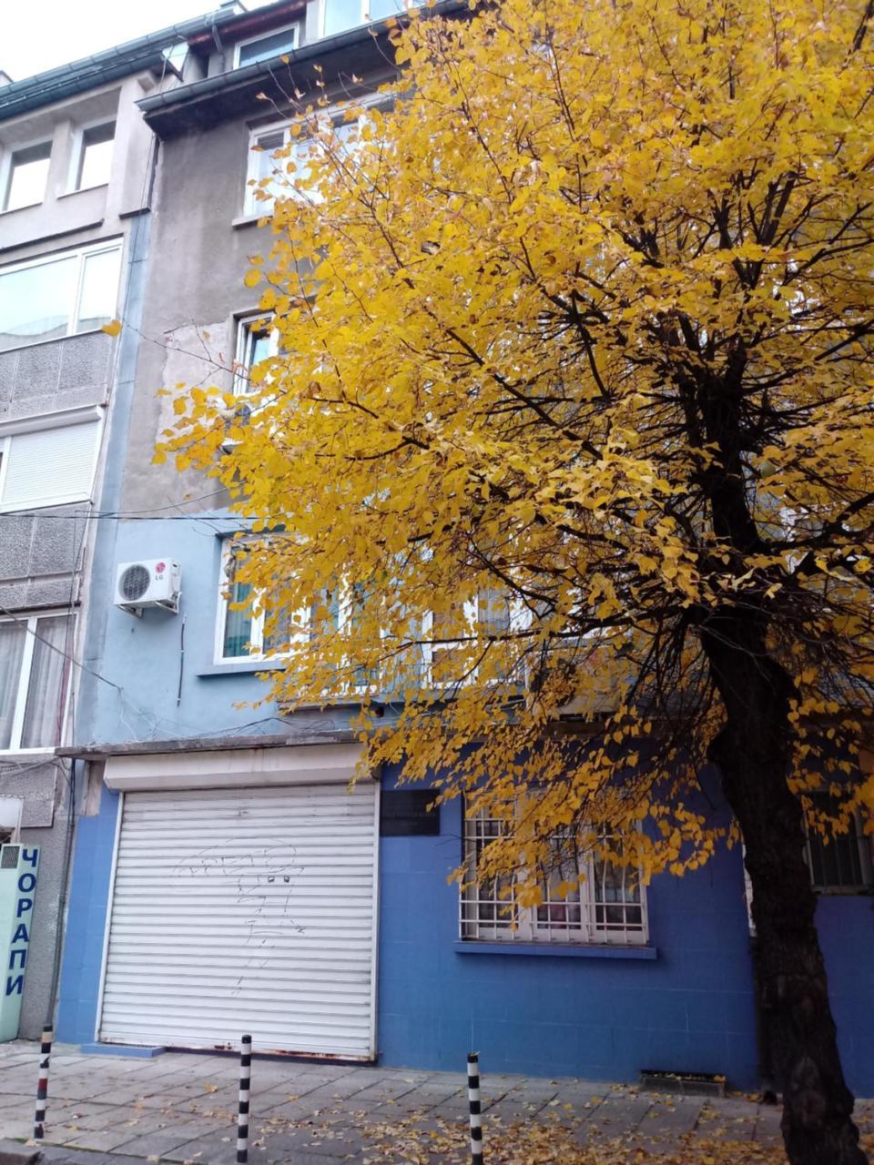 Atelier 9 - Art Mansard Sofia